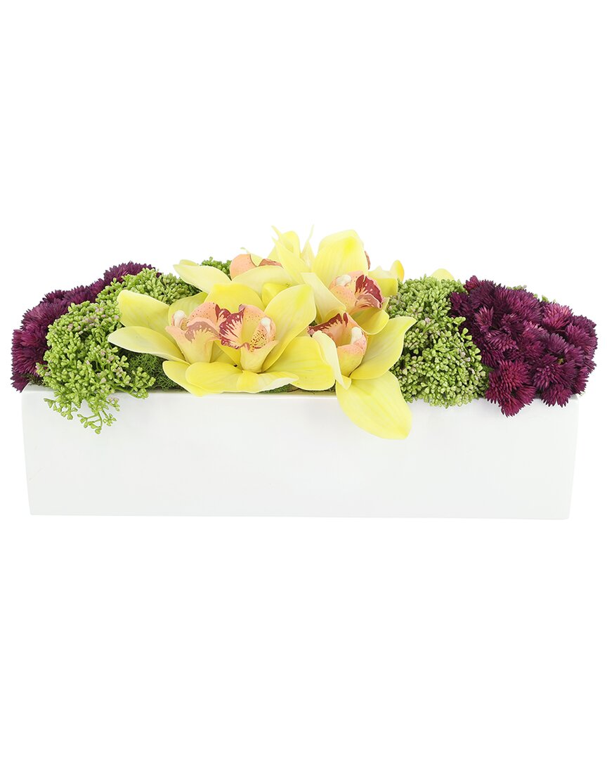Creative Displays Modern Yellow Orchid & Sedum Arrangement In Yellow