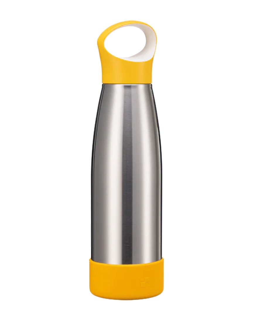 Fenger Stainless Steel Vacuum Insulated Water Bottle With Silicone Base And Handle Lid