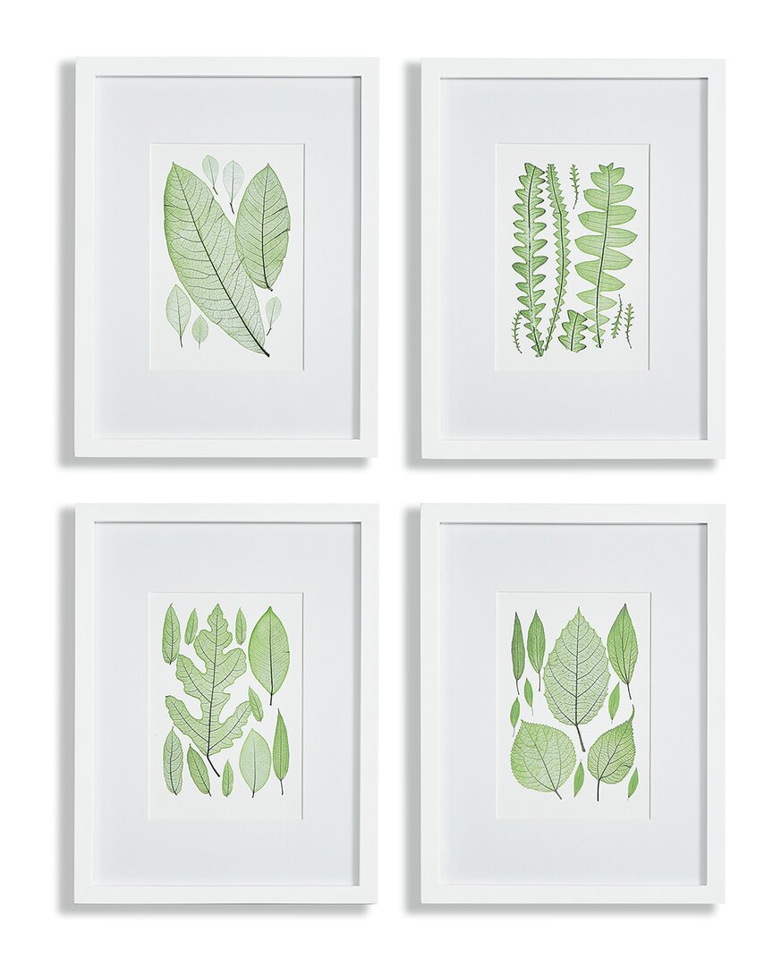 Napa Home & Garden Assorted Leaf Prints, Set Of 4 In Green