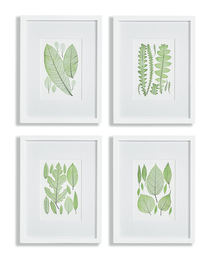 Napa Home & Garden Set Of 4 Assorted Leaf Prints In Green