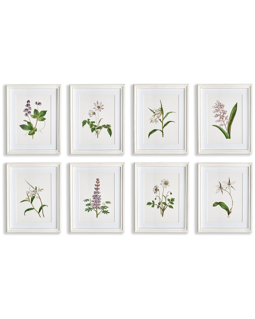 Napa Home & Garden Set Of 8 Flowers In Bloom Petite Prints In Lavender