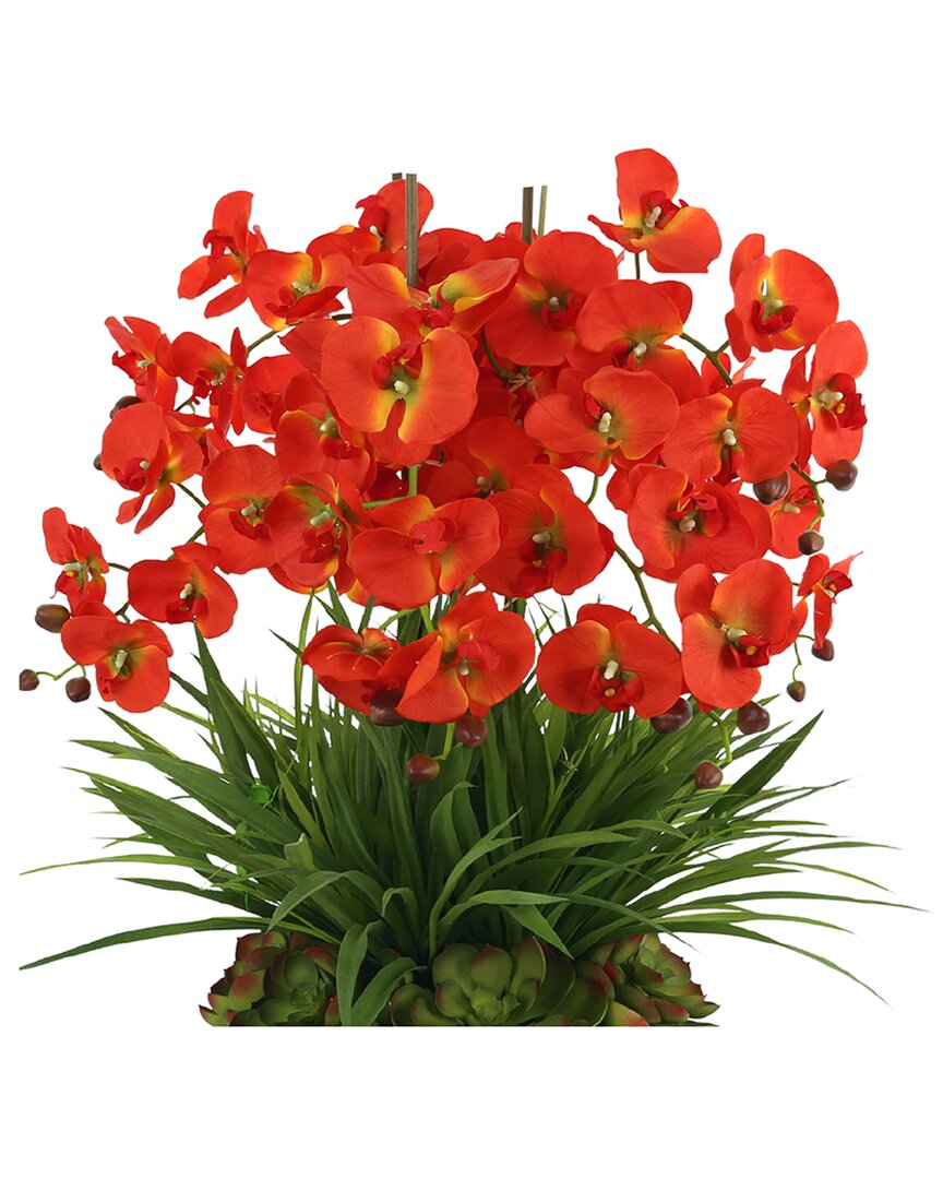 Shop Creative Displays Orchid And Succulent Floral Arrangement In A Fiberstone Pot In Orange