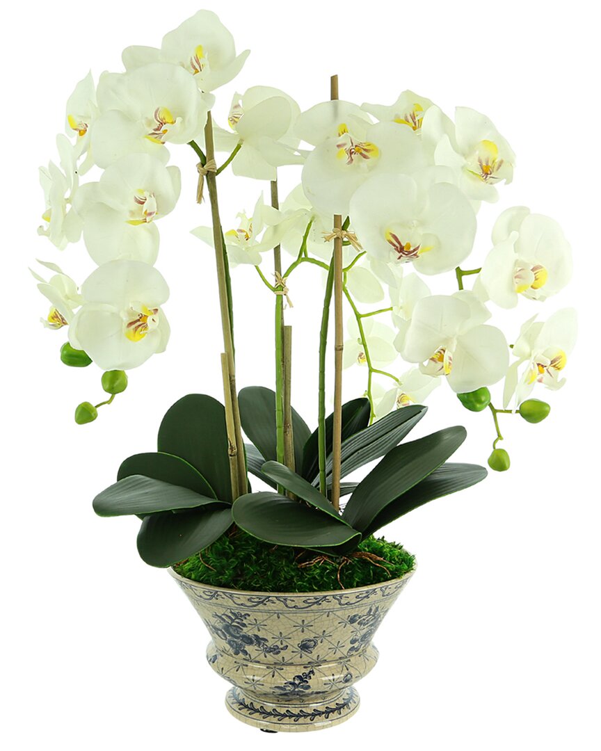 Creative Displays White Orchid Arrangement In A Round Planter