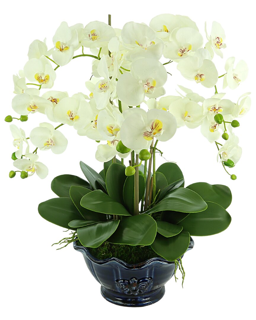 Creative Displays White Orchid Arrangement In A Round Planter