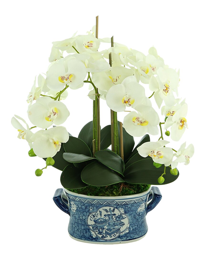 Creative Displays Orchid Arrangement In An Oval Planter In White
