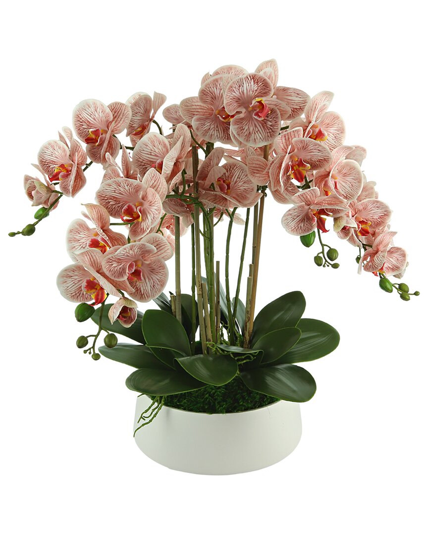 Creative Displays Pink Orchid Arrangement In A Round Planter