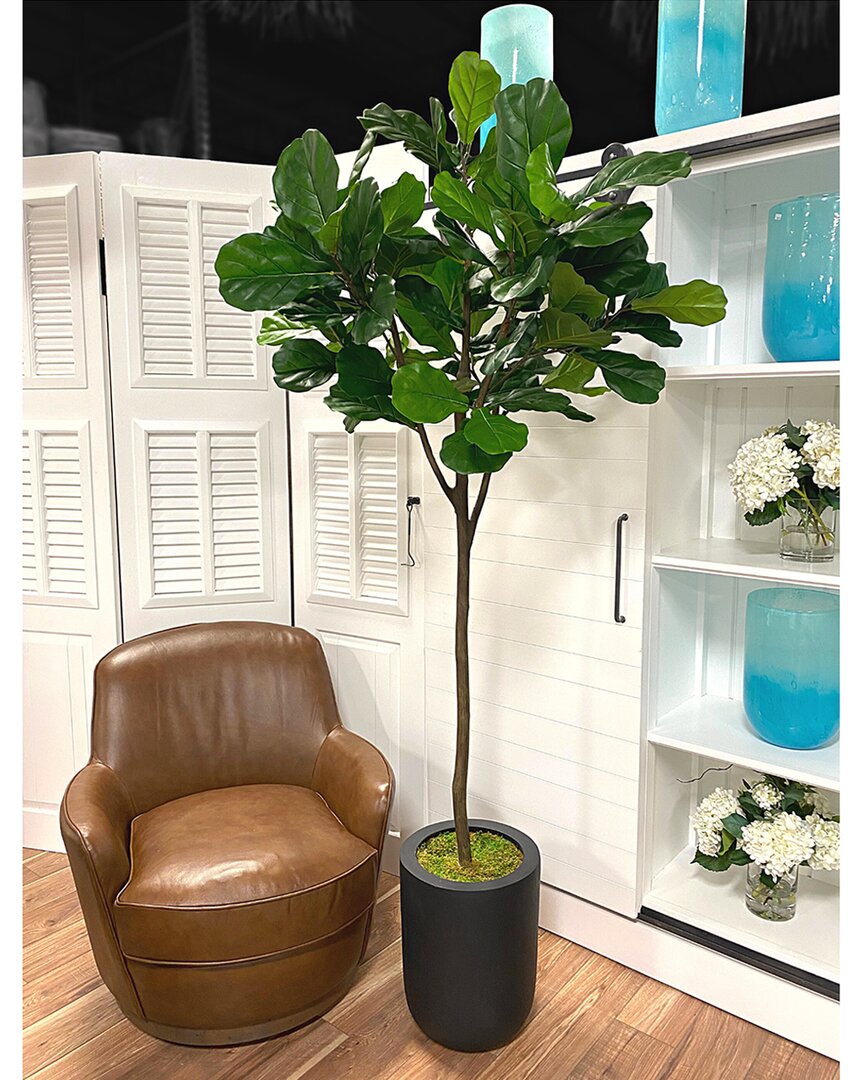 CREATIVE DISPLAYS CREATIVE DISPLAYS 7FT FIDDLE LEAF TREE IN A FIBERSTONE PLANTER
