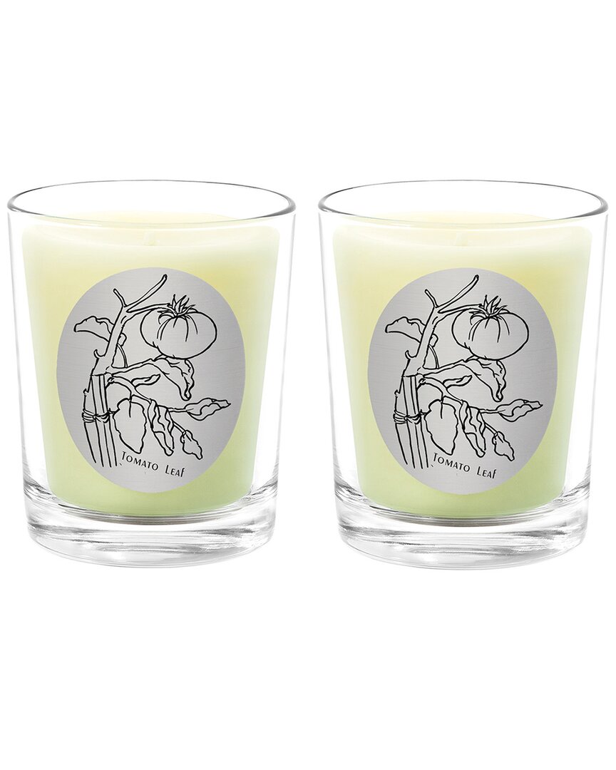Qualitas Tomato Leaf Two Scented Beeswax Candle Set In White