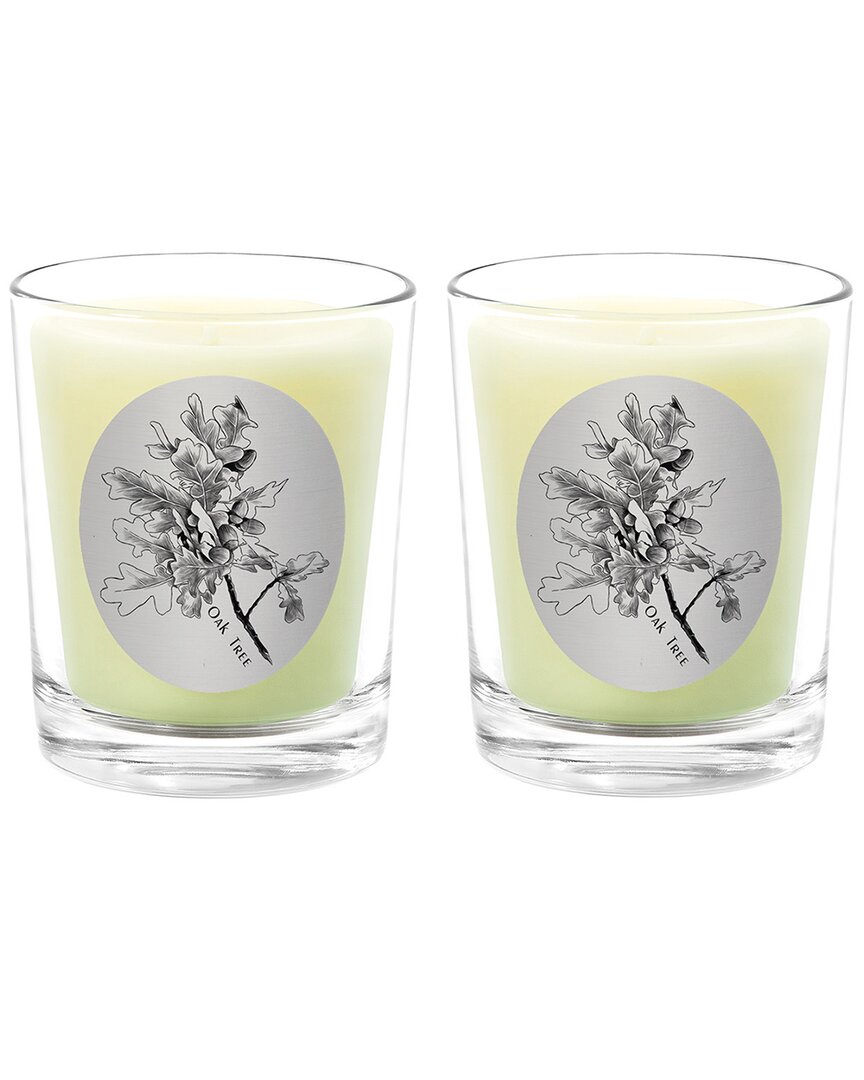 Qualitas Oak Tree Two Scented Beeswax Candle Set In White