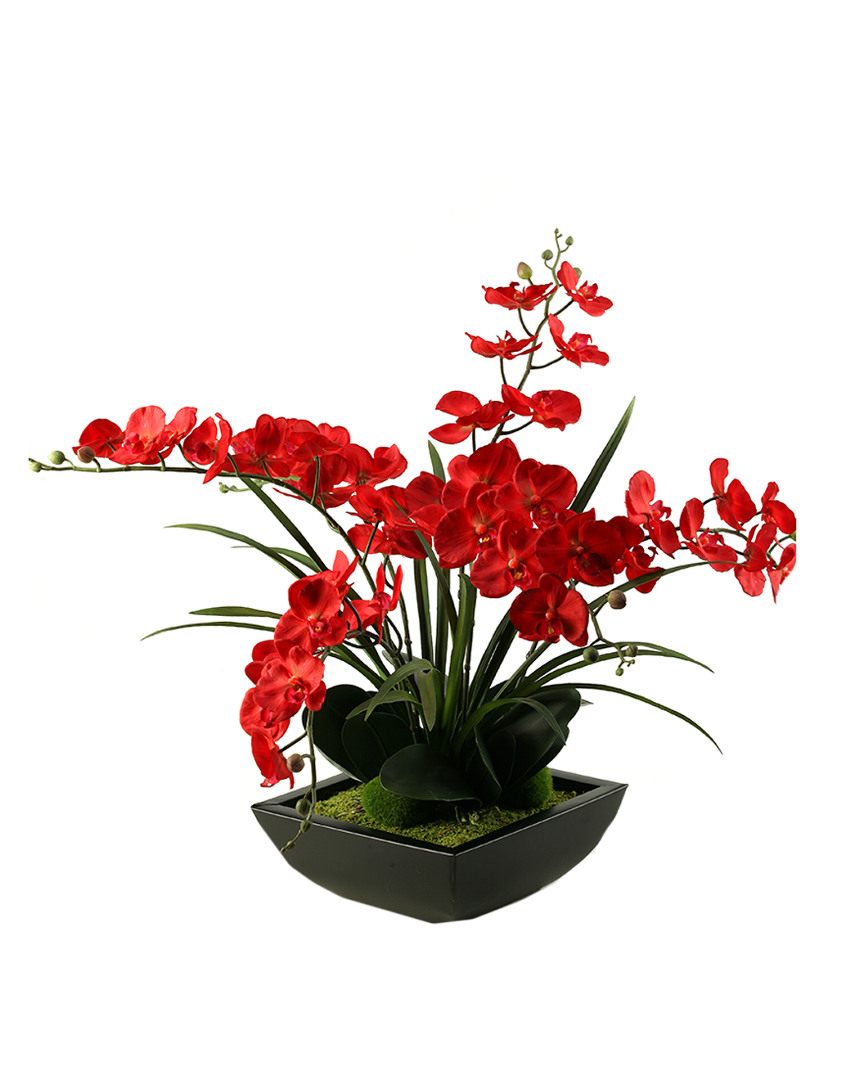 D&w Silks Deep Red Phael Orchids In Square Metal Planter