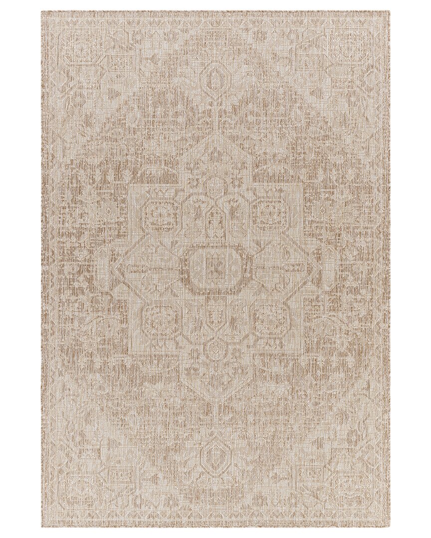 Surya Tuareg Traditional Indoor/outdoor Rug In Tan