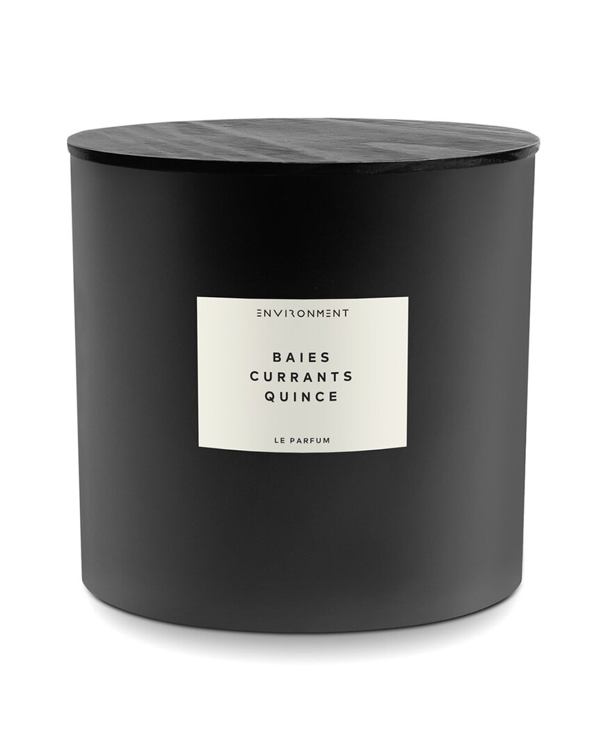 Shop Environment Los Angeles Environment 55oz Candle Inspired By Diptyque Baies® Baies, Currants & Quince