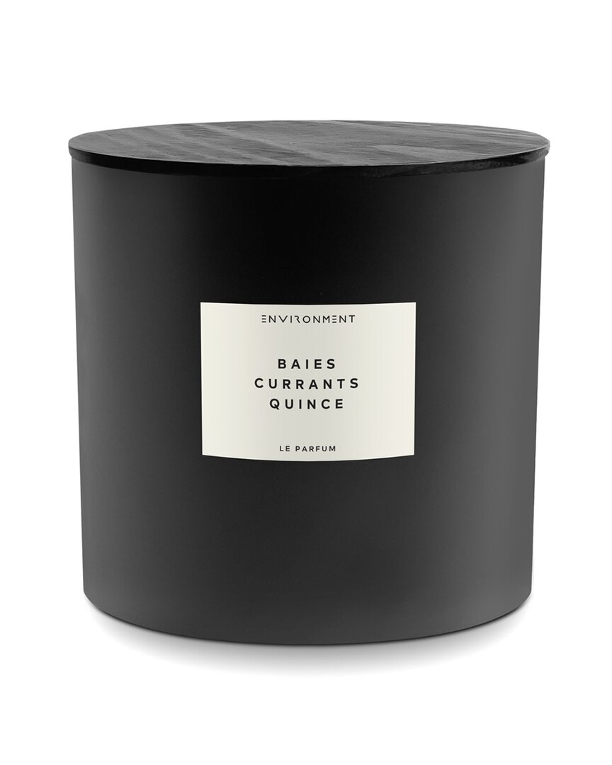 Environment 55Oz Candle Inspired By Diptyque Baies® Baies, Currants & Quince