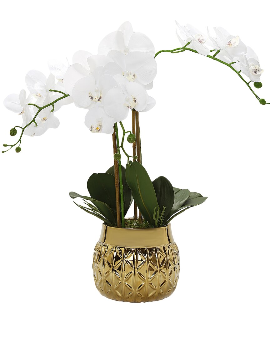 Vivience Orchid Plant In Round Vase In Gold