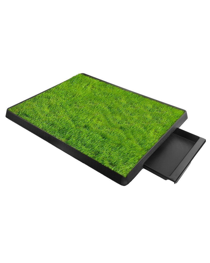 Shop Fresh Fab Finds Dog Potty Training Artificial Grass Pad