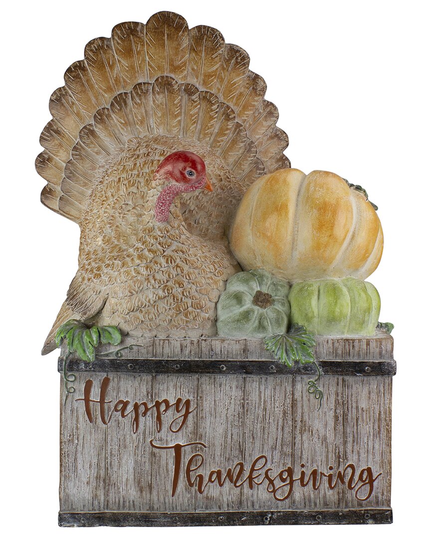 Shop Northlight 20.25in Turkey And Pumpkins Fthappy Thanksgivingft Decoration In Orange