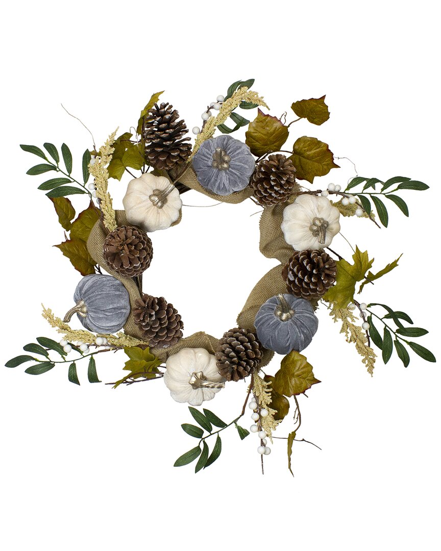 Northlight Pumpkins Foliage Grapevine Artificial Thanksgiving Wreath Unlit, 24" In Brown