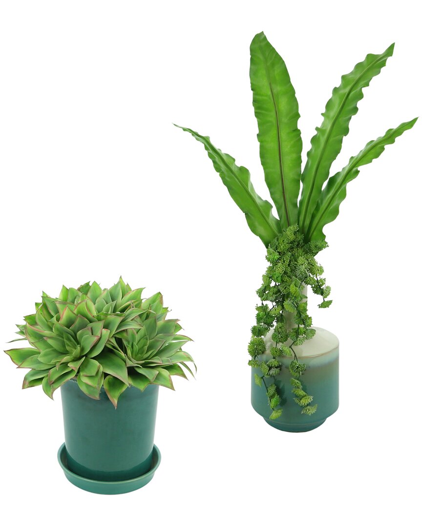 Creative Displays Discontinued  Plant & Succulent Set In Green