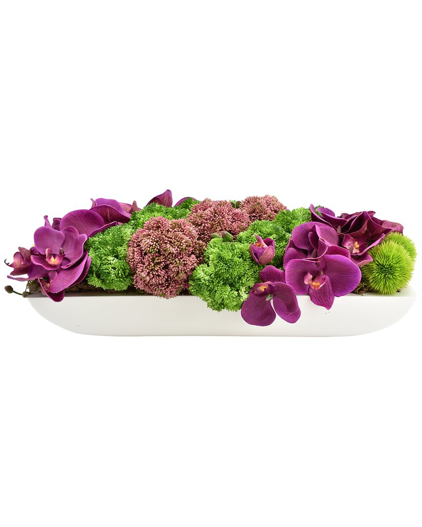 Creative Displays Orchids & Succulents In Oblong Planter In Purple