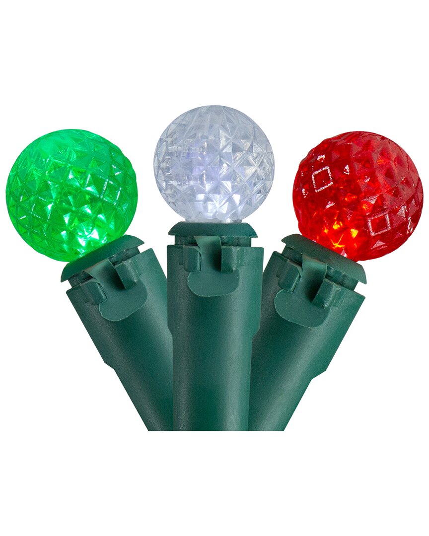 Northern Lights Northlight 50 Count Red Green And White Led G12 Berry Christmas Lights 15.9ft Green Wire In Red
