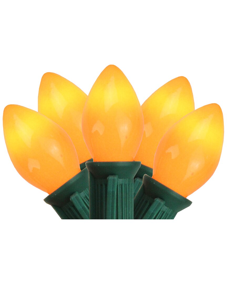 Northern Lights Northlight 25-count Opaque Orange C7 Christmas Light Set  24ft Green Wire In Orange