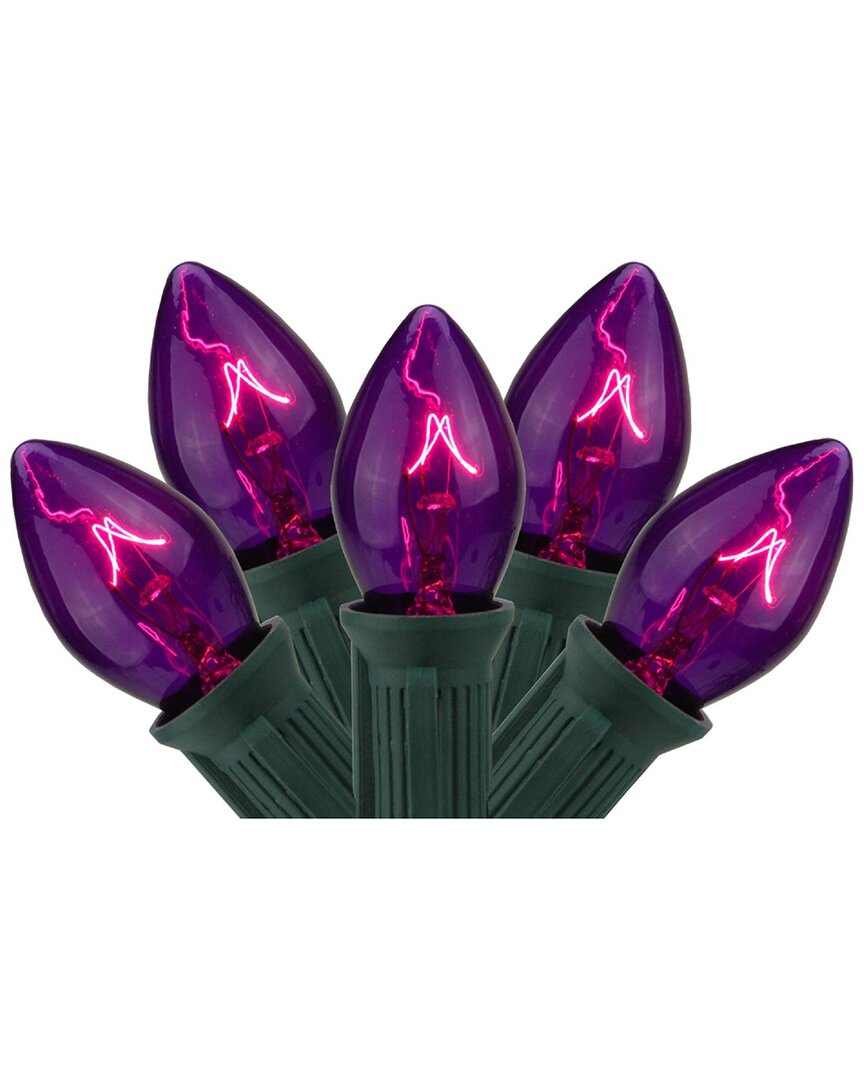 Northern Lights Northlight 25-count Purple C7 Transparent Christmas Light Set  24ft Green Wire In Purple
