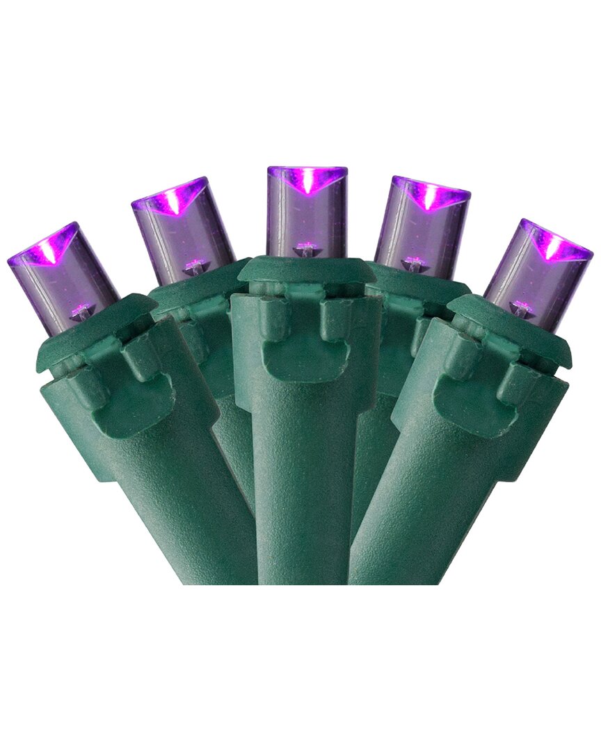 Northern Lights Northlight 50 Purple Led Wide Angle Christmas Lights - 16.25 Ft Green Wire In Purple
