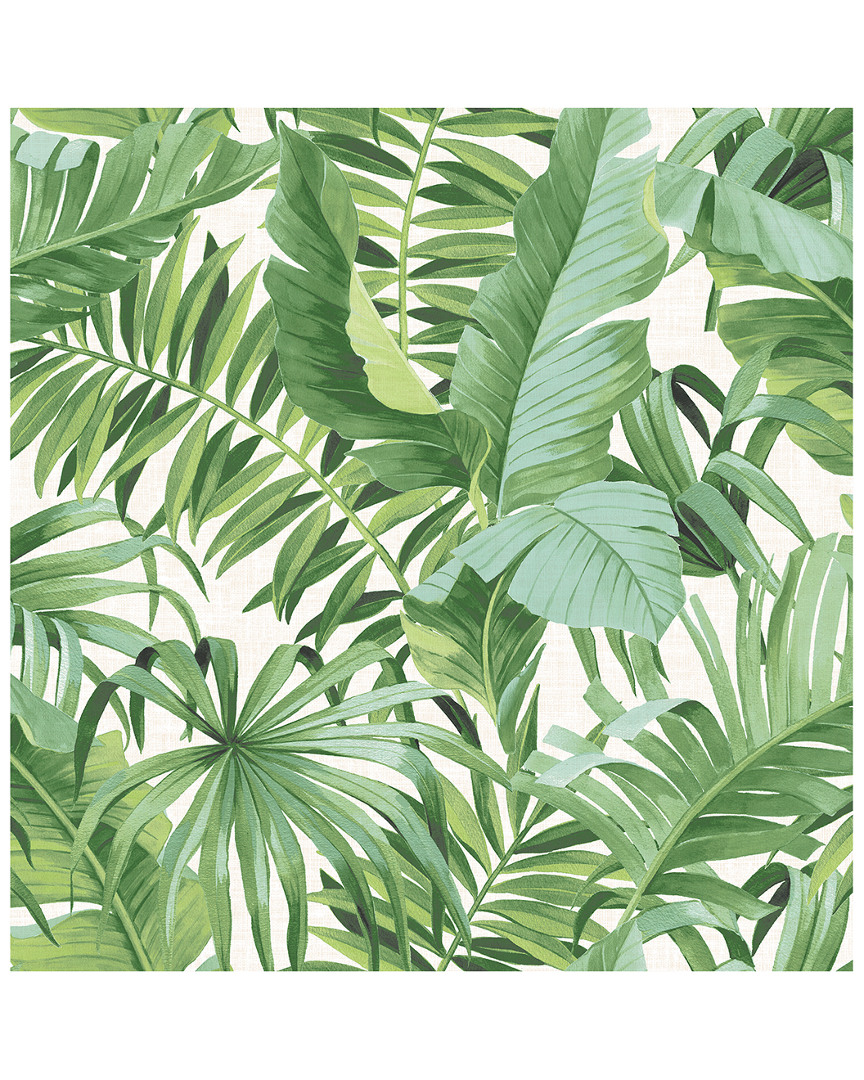 A-street Prints Alfresco Green Palm Leaf Wallpaper