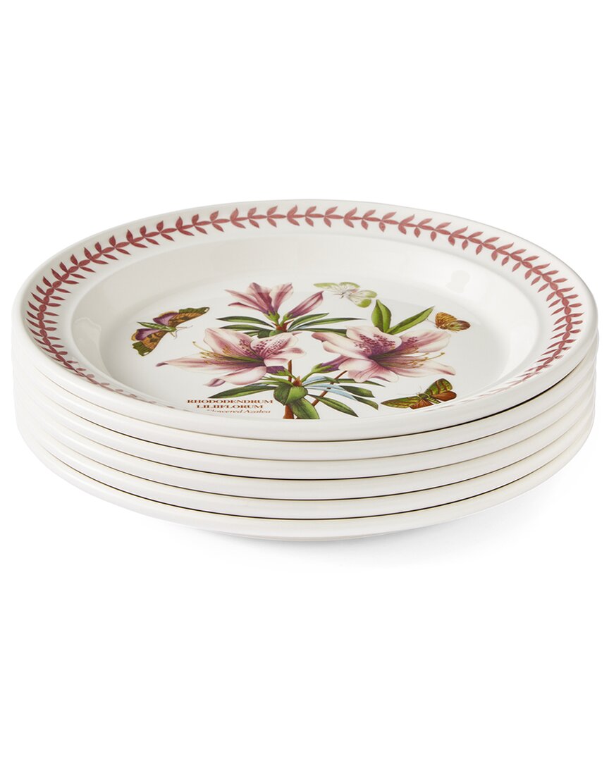 Portmeirion Set Of 6 Botanic Garden Meadow Dinner Plates In Multi
