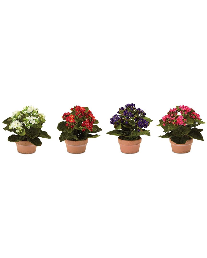 Melrose International Set Of 4 Assorted Kalanchoe Flower In Terra Cotta In Multi