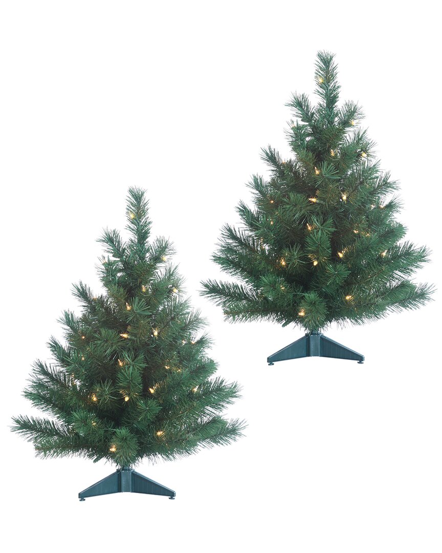 Sterling Tree Company Set Of 2 2ft. Pre-lit Colorado Spruce With 50 Ul Clear Lights Each In Green