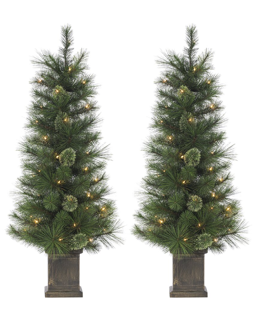 Sterling Tree Company 4ft Potted Hard Mixed Needle Cashmere Tree With 70 Clear Lights (set Of 2) In Green