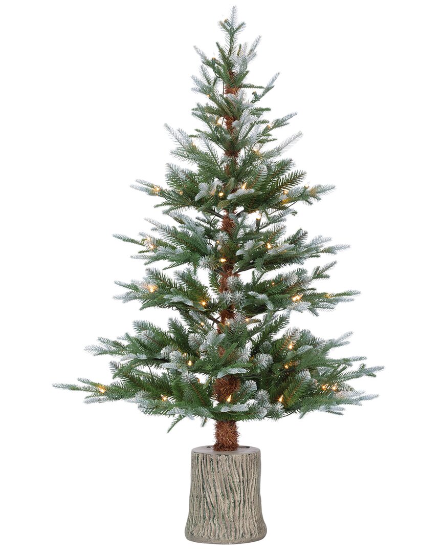 Sterling Tree Company 4ft High Potted Natural Cut Frosted Pine Tree With 70 Clear Led Lights In Green