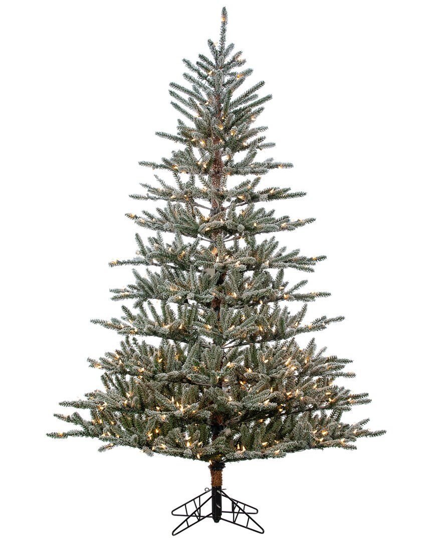Sterling Tree Company 7ft Flocked Scotch Pine With 450 Incandescent Lights In Green