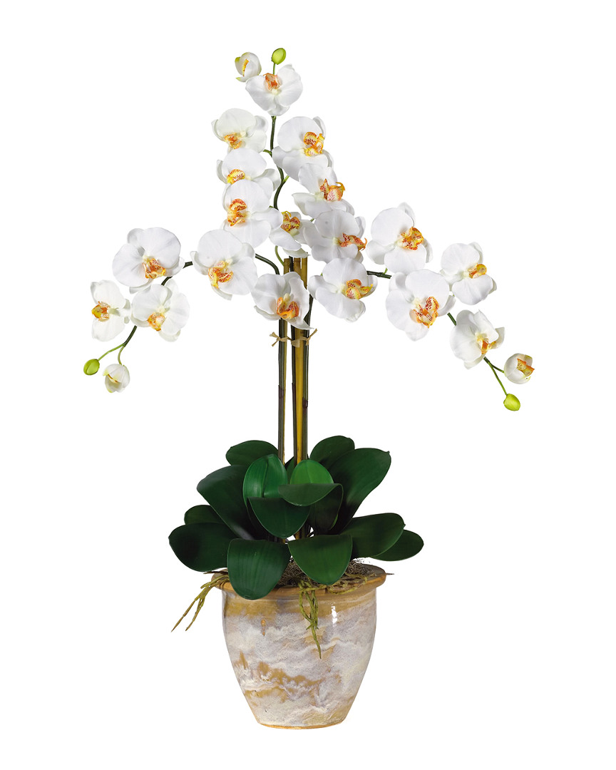 Nearly Natural Triple Phalaenopsis Silk Orchid Flower Arrangement In Cream