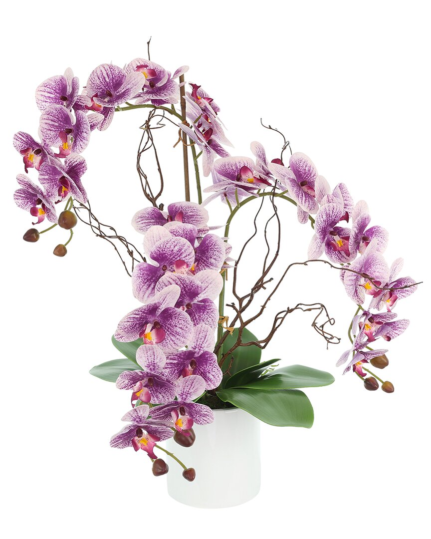 Creative Displays Modern Purple Orchid Arrangement In Round Fiberstone Pot In Purple