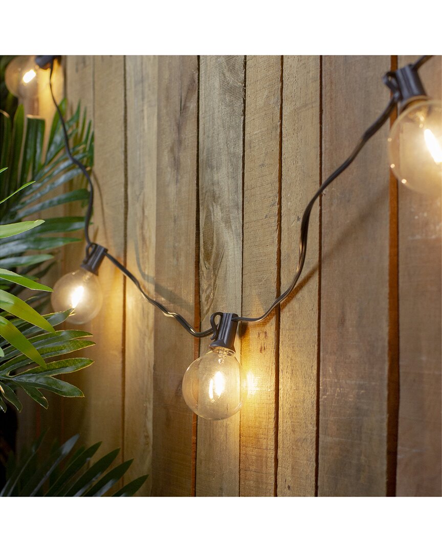 Northlight 20-count Warm White Led G50 Globe Patio Lights