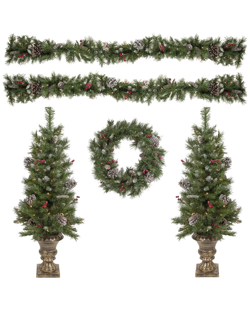Northlight 5-Piece Pre-Lit Frosted Verona Berry Pine Artificial Christmas Entryway Set