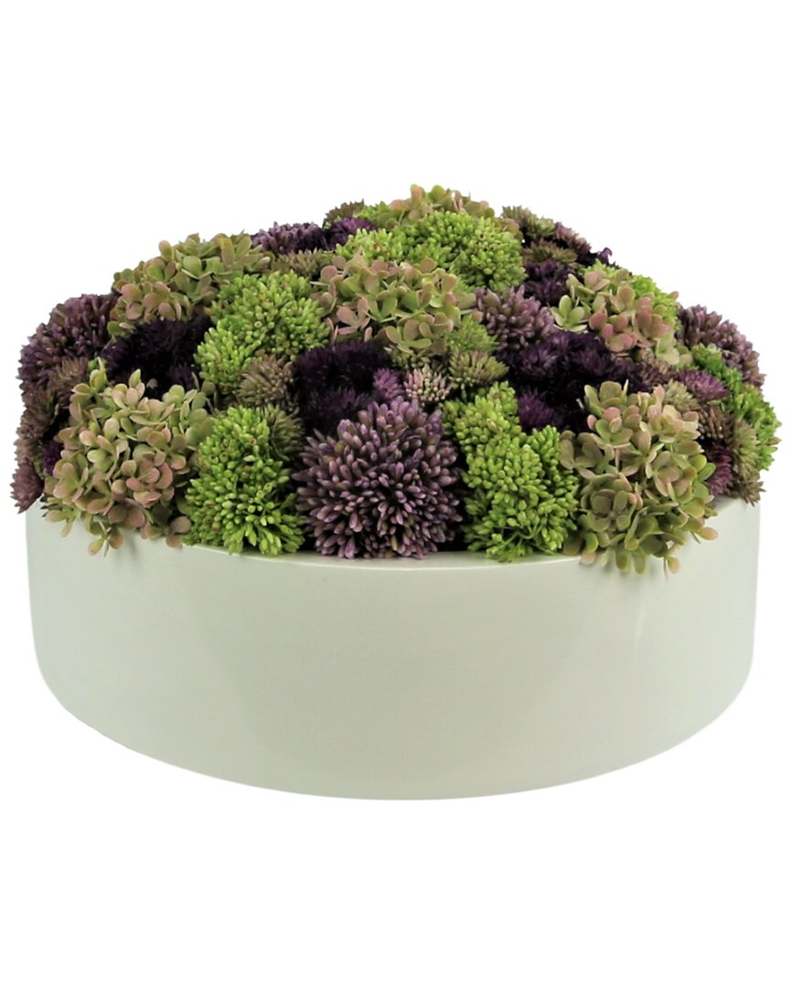 Shop Creative Displays Multicolor Sedum Floral Display In Green