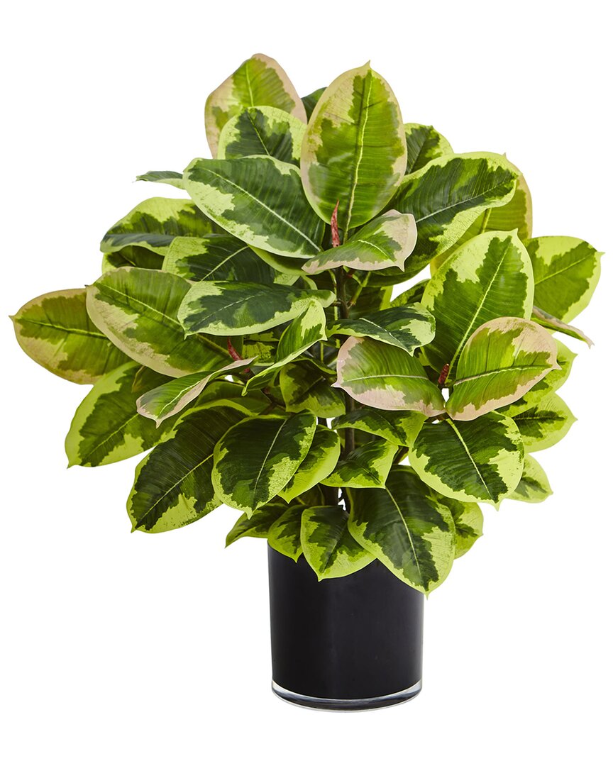 NEARLY NATURAL NEARLY NATURAL ARTIFICIAL RUBBER PLANT IN GLOSSY CYLINDER (REAL TOUCH) 