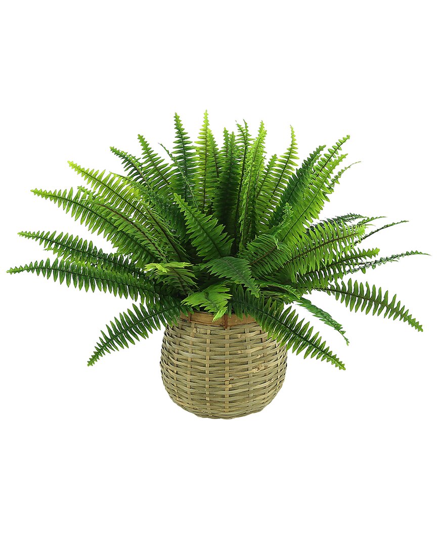 Creative Displays Fern Floral Display In Green