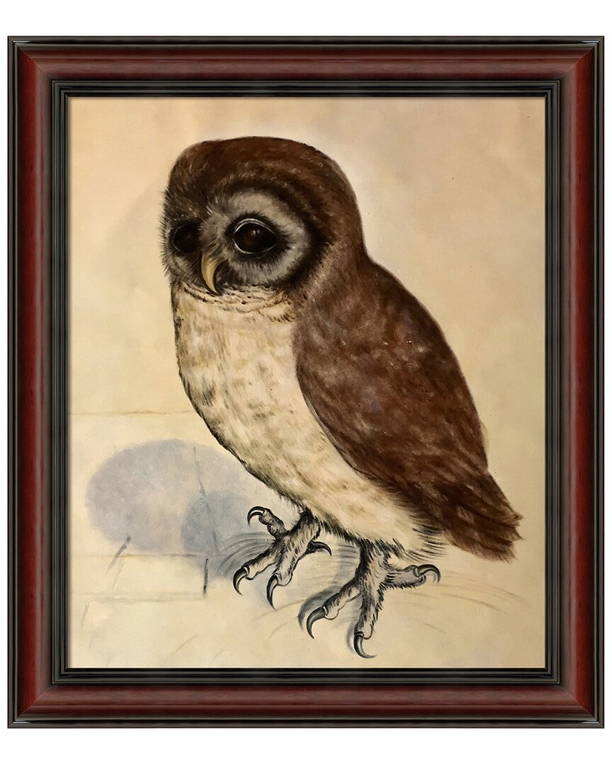 Overstock Art La Pastiche The Little Owl Framed Wall Art By Albrecht Durer In Multicolor