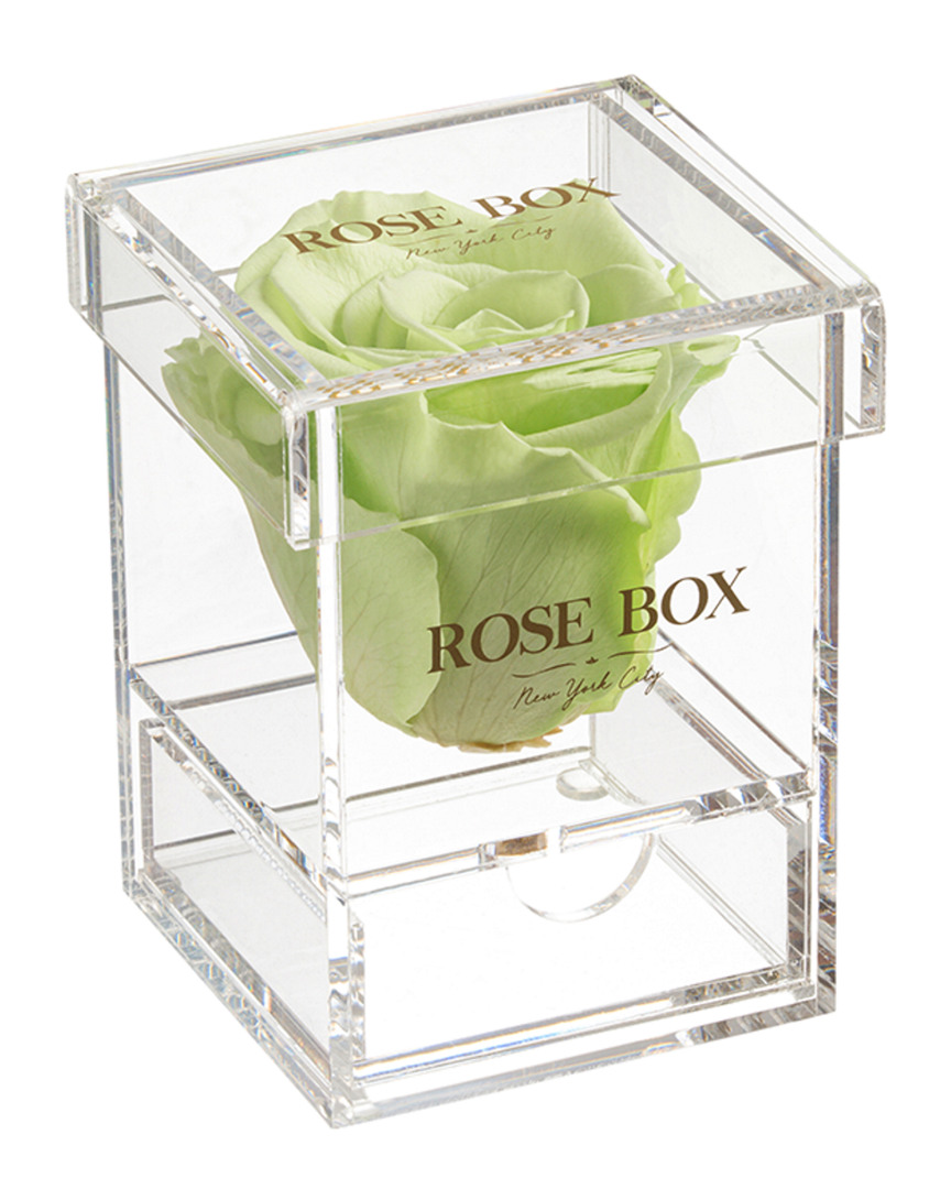 Rose Box Nyc Single Light Green Rose Jewelry Box