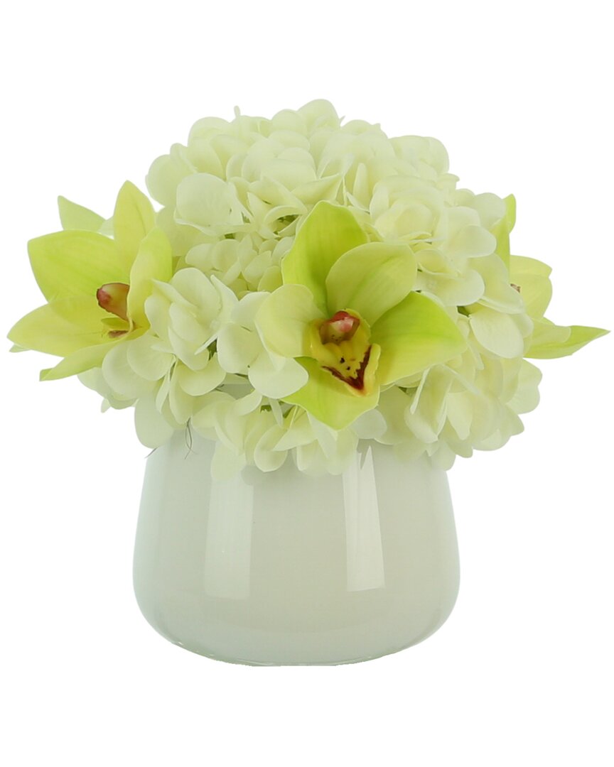 Creative Displays Green Orchid And White Hydrangea Arrangement In White