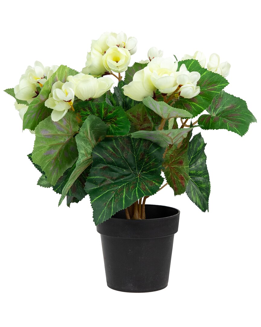 Northlight Potted Silk Begonia Artificial Floral Arrangement In Ivory
