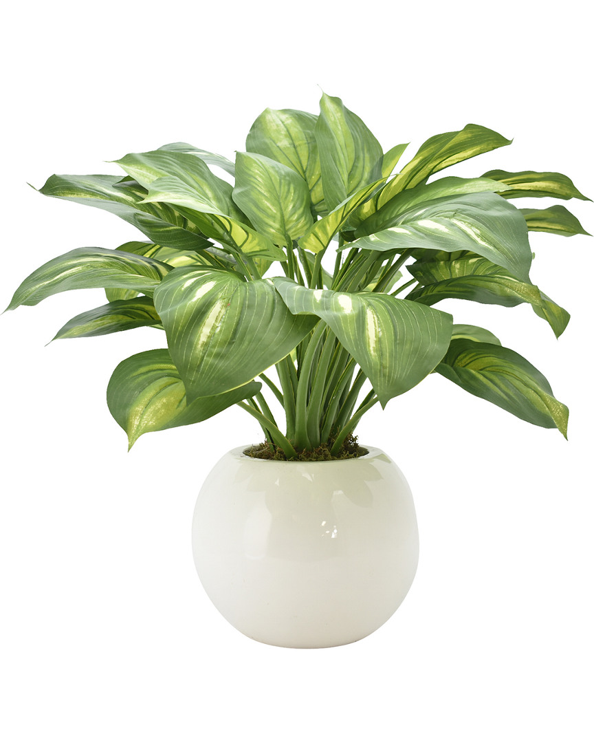 CREATIVE DISPLAYS CREATIVE DISPLAYS GREEN HOSTA PLANT