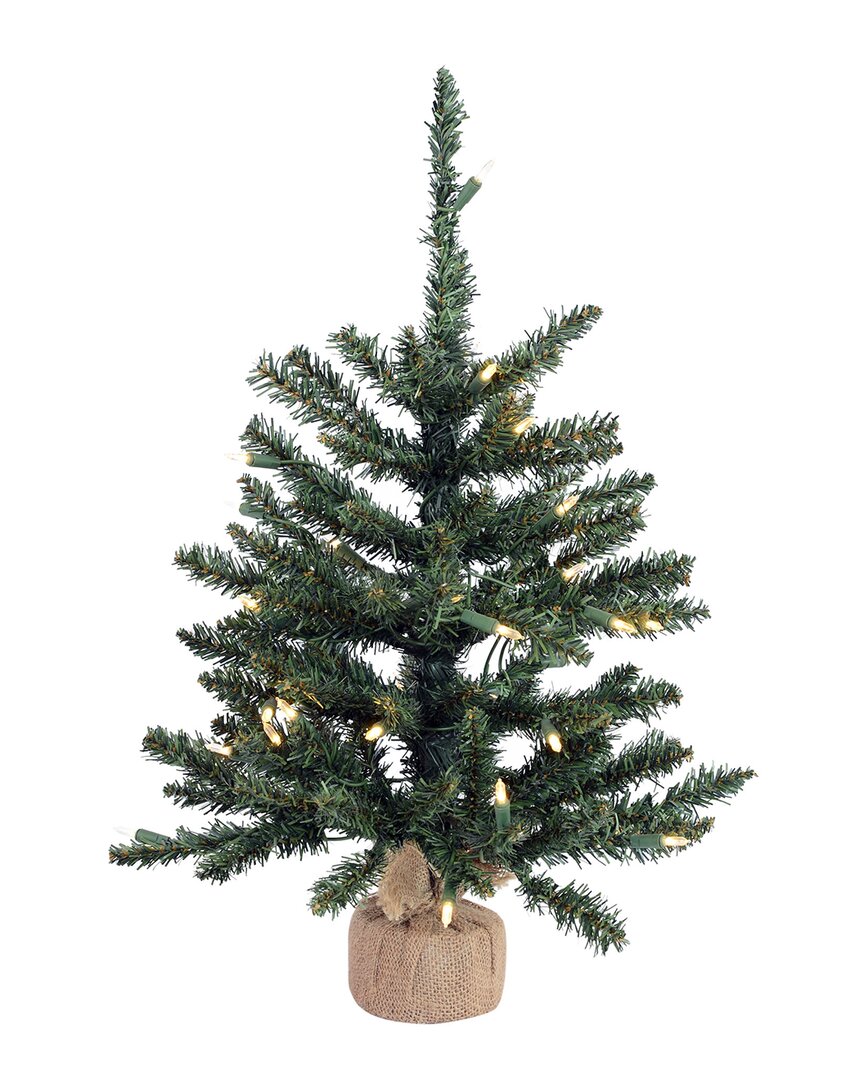 Vickerman 24in Anoka Pine Artificial Christmas Tree