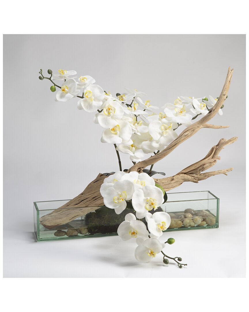 D&W SILKS D&W SILKS INC WHITE PHAEL ORCHIDS WITH GHOSTWOOD IN RECTANGLE AQUARIUM GLASS