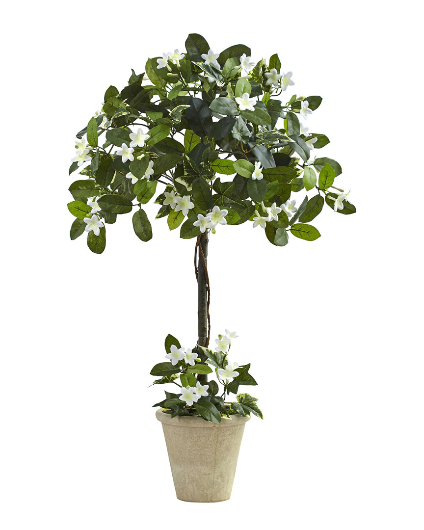 NEARLY NATURAL NEARLY NATURAL STEPHANOTIS TOPIARY WITH PLANTER