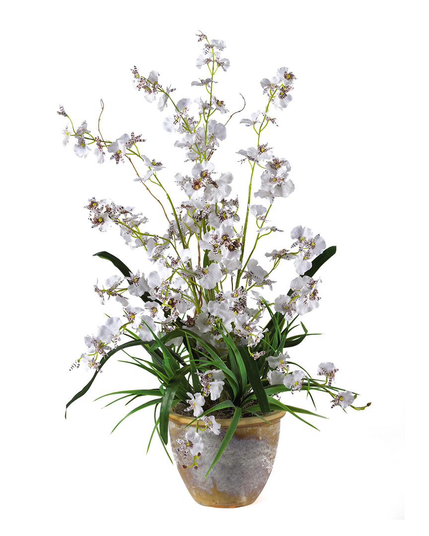 Nearly Natural Dancing Lady Silk Orchid Arrangement